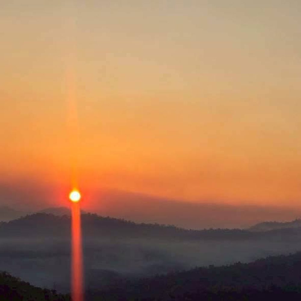 IMG_8224